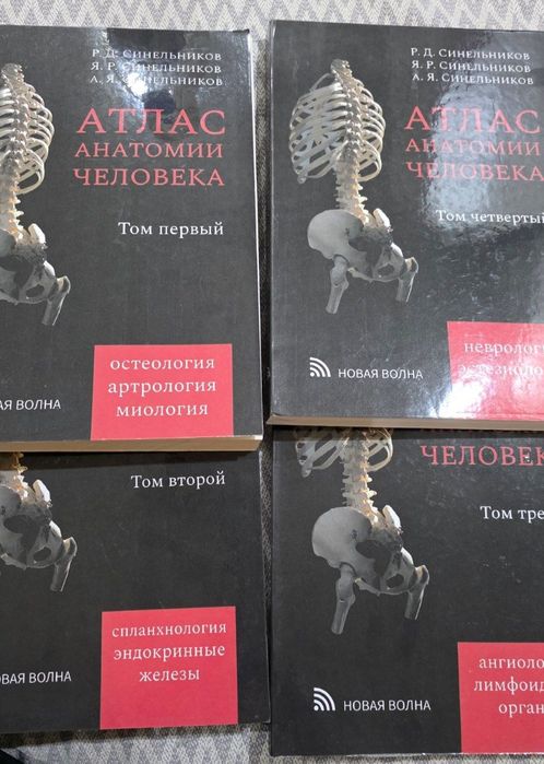 Атлас по анатомии синельникова