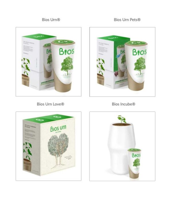 Urna funerara (plantă) biodegradabila BiosUrn