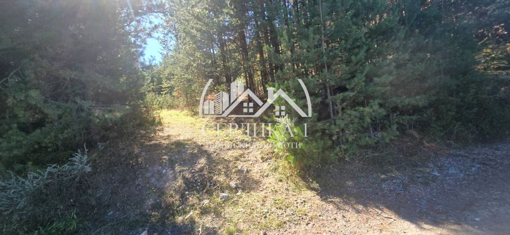 Продава се Парцел в Банско - 4820 кв.м за 37 €/кв.м - Снимка #5