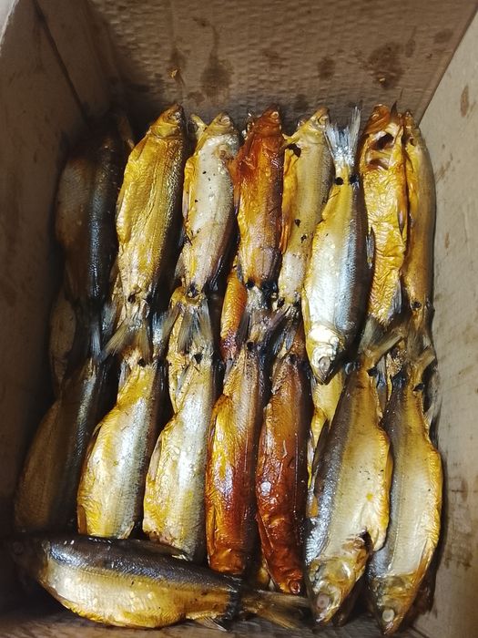 Продам пеляди горячего копчения сочные вкусные