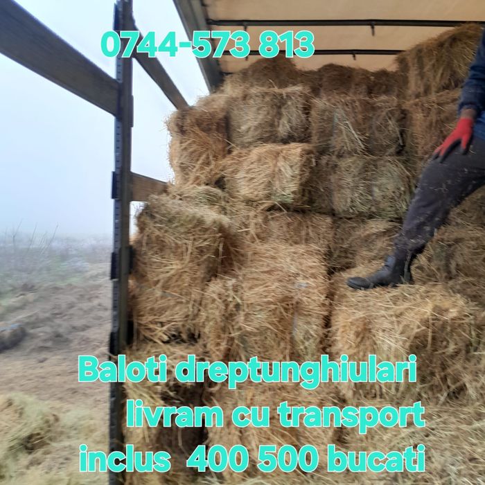 Baloti lucerna or fan.Rotunzi min.40.Dreptunghiulari.500.Transport inc