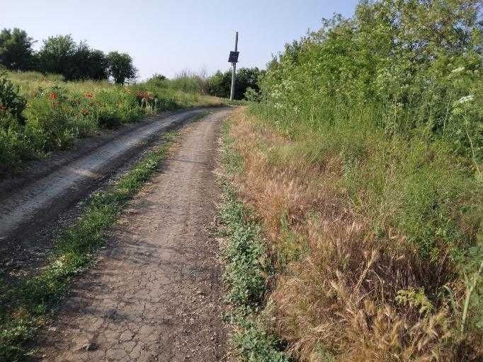 Teren intravilan Tuzla, 2500mp, deschidere 45m, oportunitate excelenta