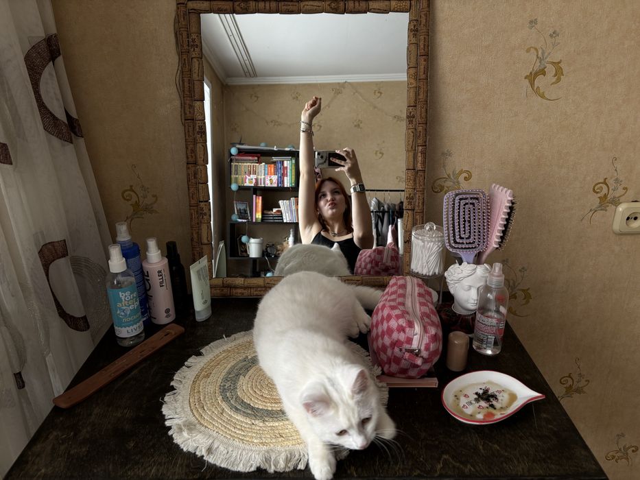 Отдам кошечку даром