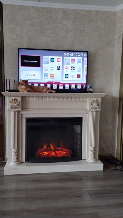 Кота отдам в хорошие руки