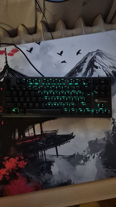 Genesis thor 300 tkl