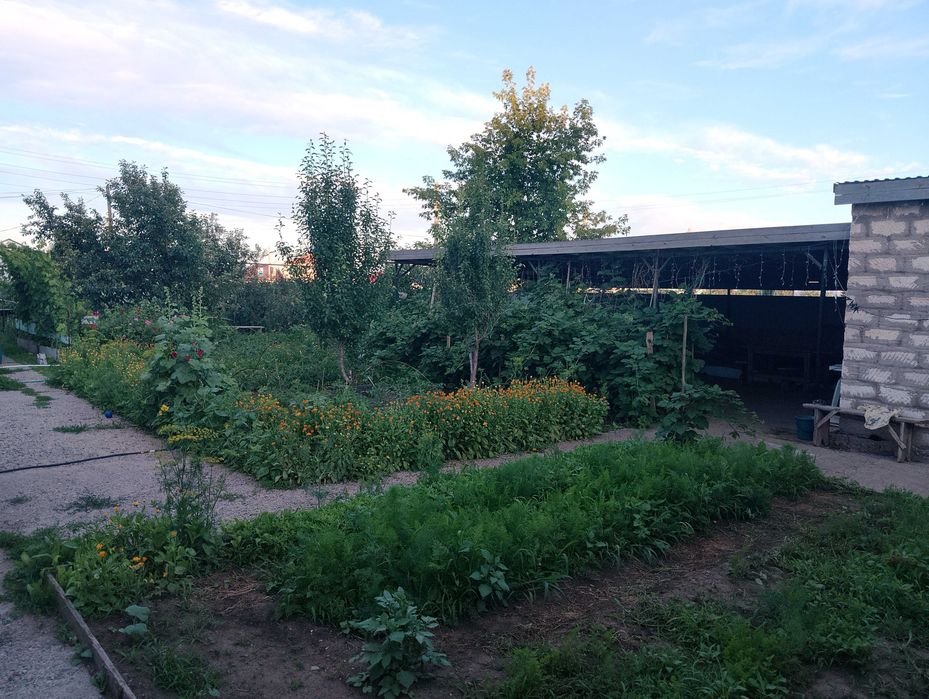 Продам дом поселок Курашасай