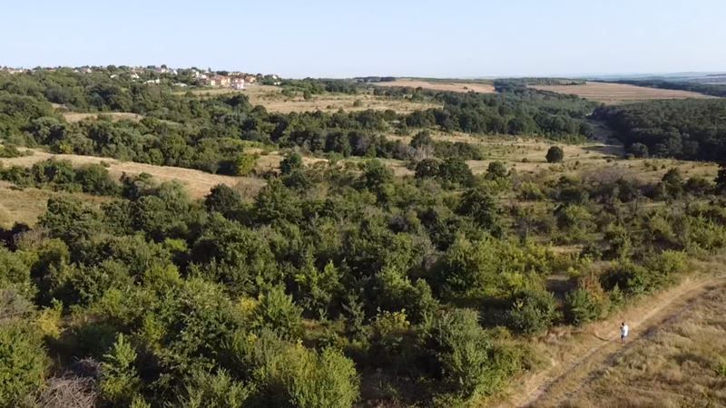 Парцел в Варна, област-с.Приселци площ 5957 цена 150000