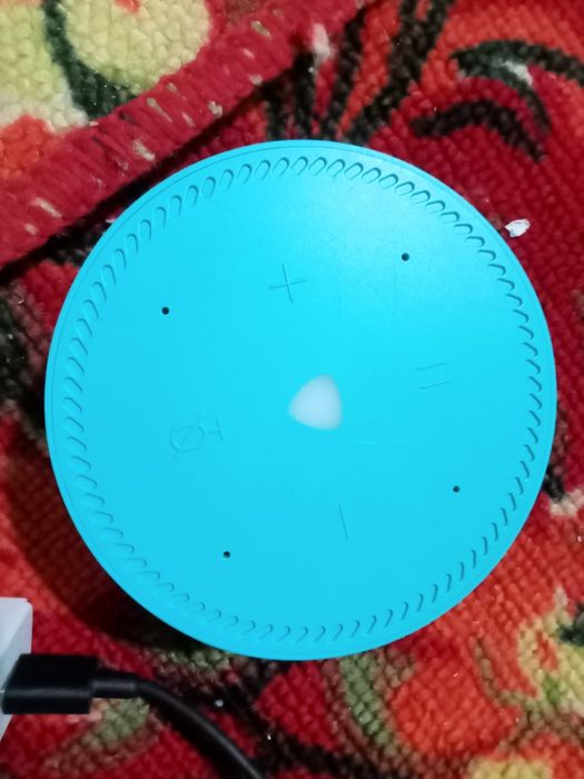 Голонка алиса станция лайт