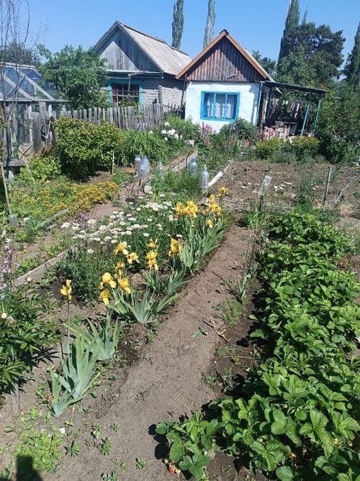 Продам дачу сад Здоровье