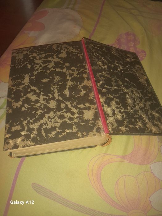 Dicționar Francez-Român..1928.