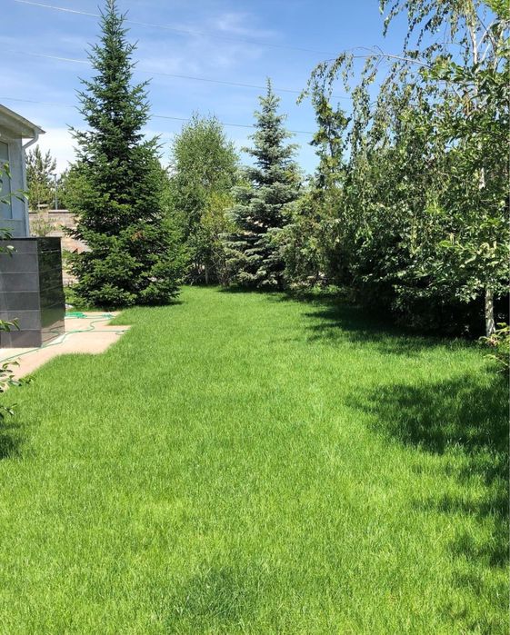 Спартивни Газон