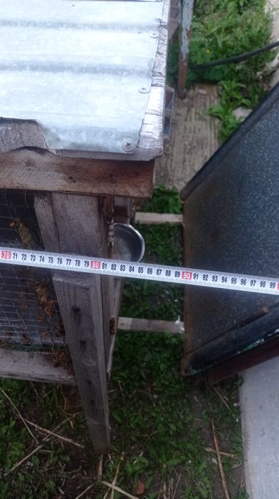 Клетки для кроликов