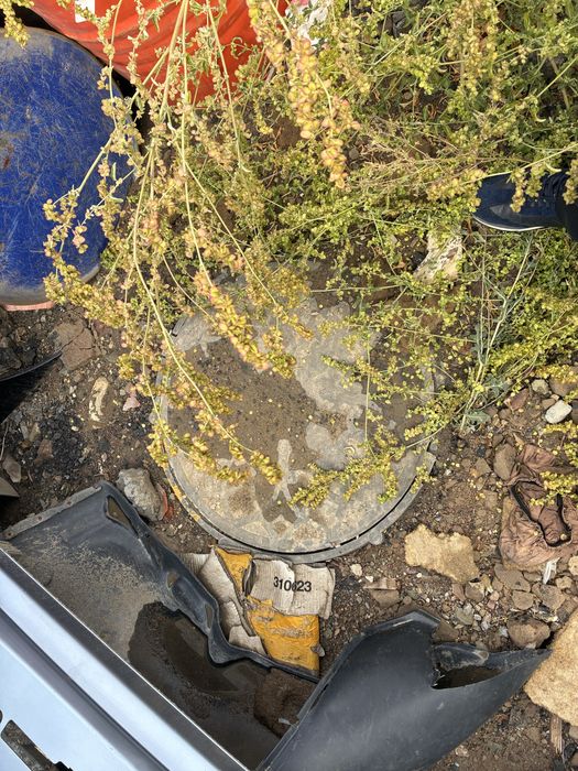 Продам два бокса.