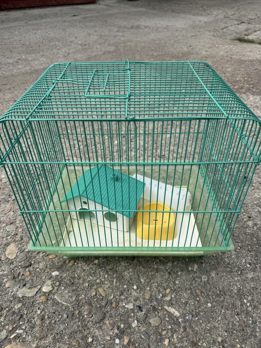Cusca hamster de vanzare