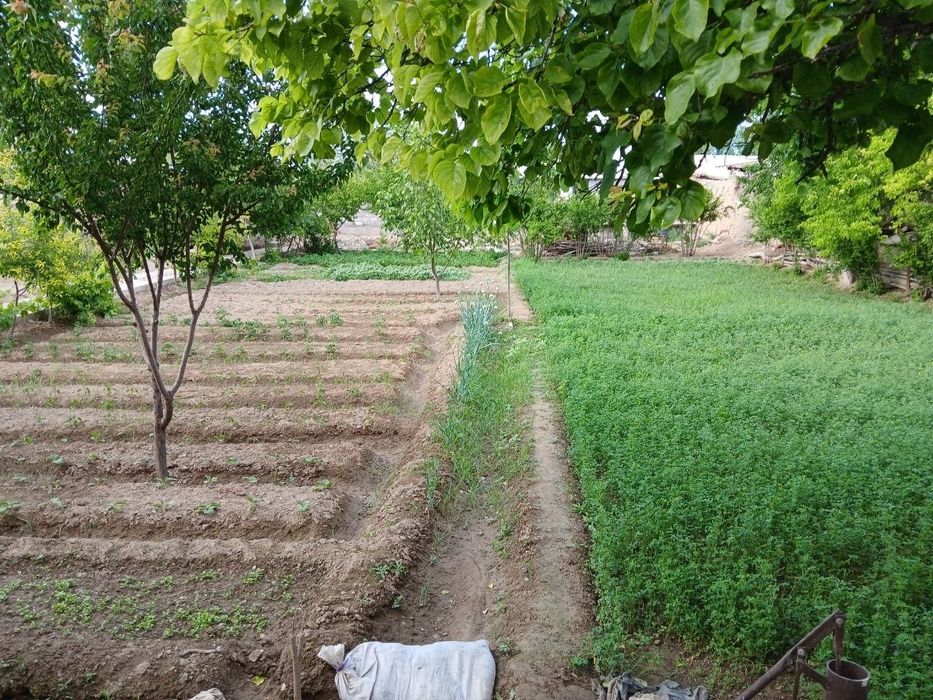 Narpay eski 5 daHovli joy 12 sotigʻli 6 xona remon boʻlgan suv svet ga