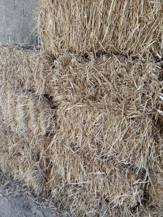 Прим смог ва катта катта бог беда бор