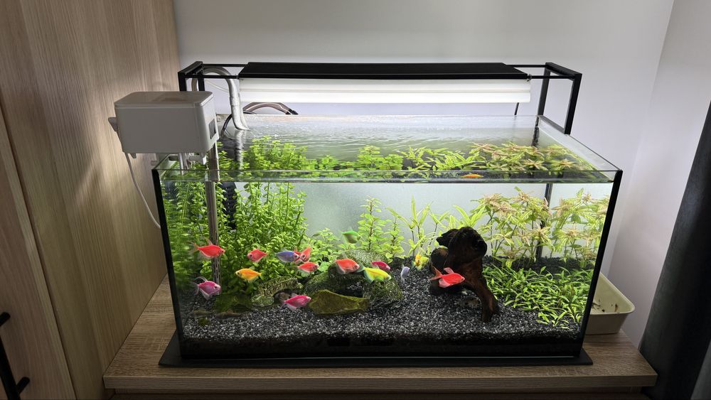 Acvariu complet 54 litri 60x30x30