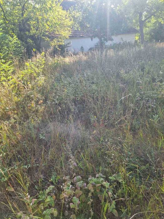 Професионални градинарски услуги
Предлагаме: