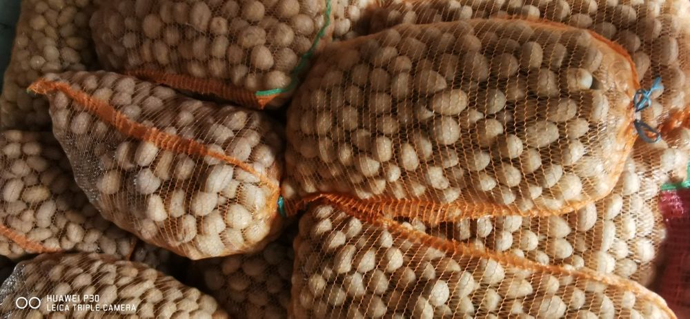 Cartofi samanta Harghita