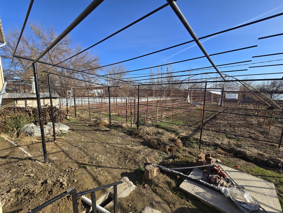 Теплица дмитровта