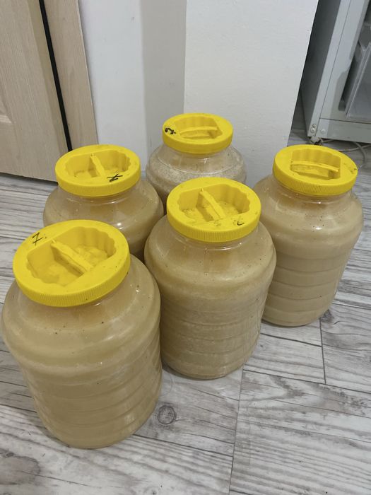 Лепсинский Мед (разнотравие)