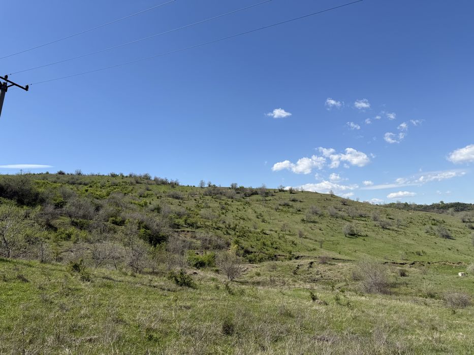 11,6 hectare de teren extravilan+intravilan, Urlati/Valea Calugareasca-Zona: releu/Valea Mieilor