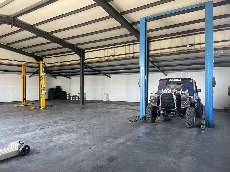 Дава се под наем Парцел в с. Иганово, Област Пловдив - 1800 кв.м за 612 € - Снимка #6