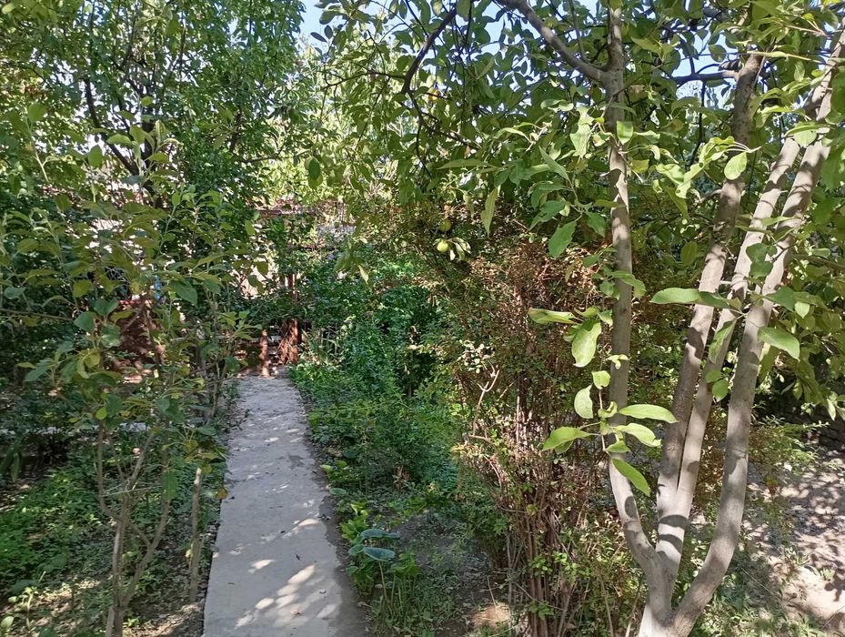 Участок 6 соток,дача