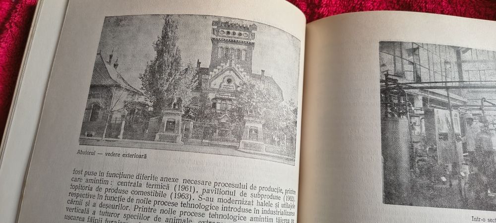 TIMISOARA 700- pagini din trecut și azi