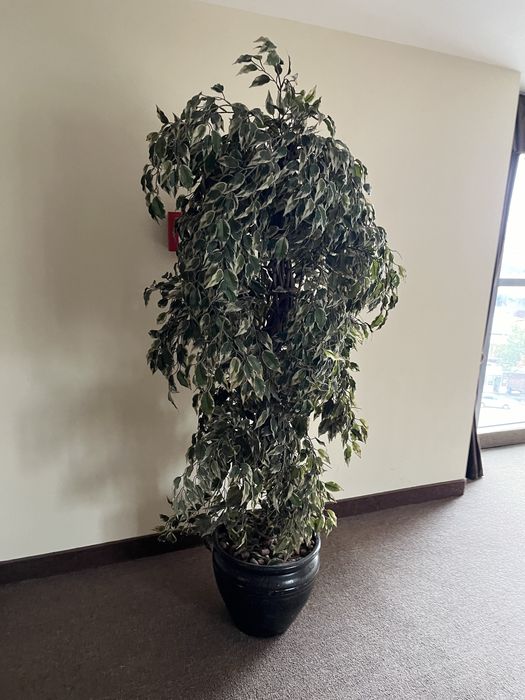 Искуствееные растения в горшке 1.8 м