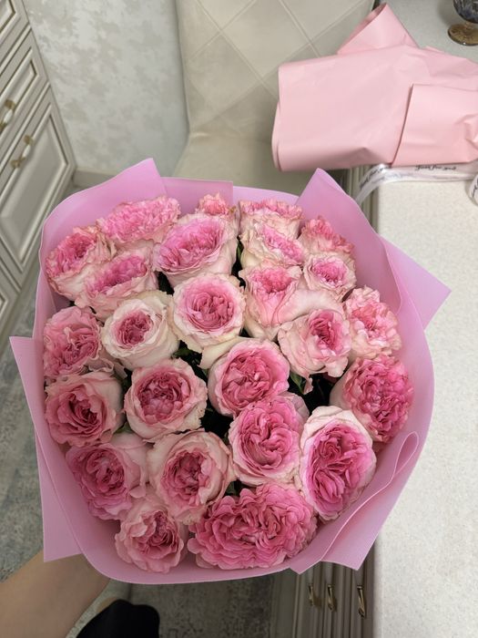 свежий только что пришел