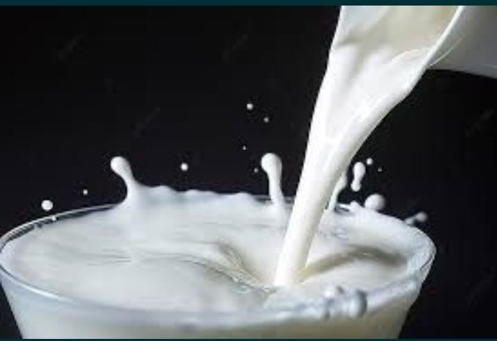 Сиыр сүті сатылады. Продается коровье молоко.