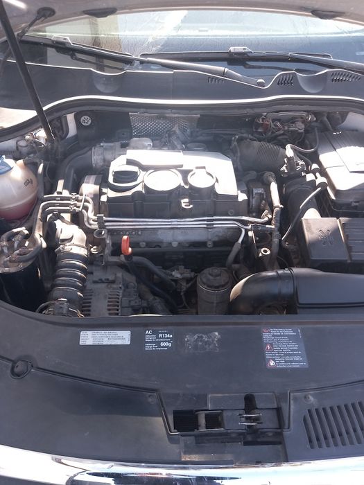 Motor fara anexe Volkswagen Passat B6 (3C2) 1.9 TDI BLS
