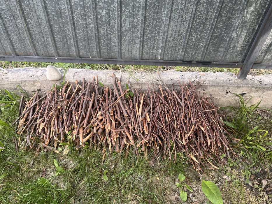 Дрова из деревьев