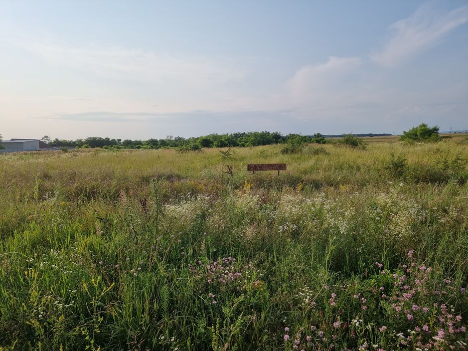 Teren de vanzare 4500mp Filiasi/Negraia