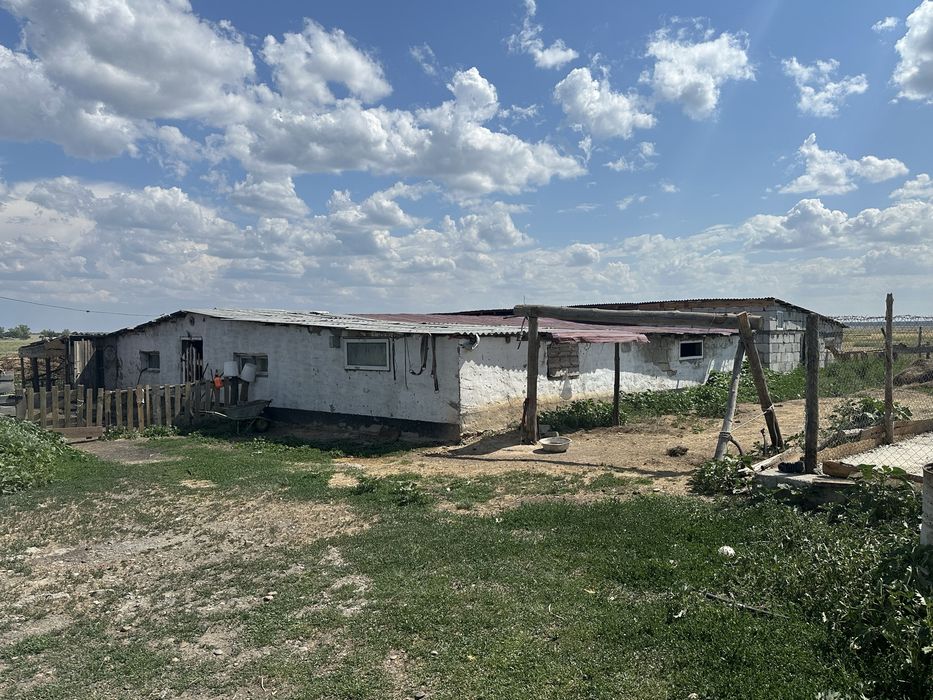 Продам личное подсобное хозяйство