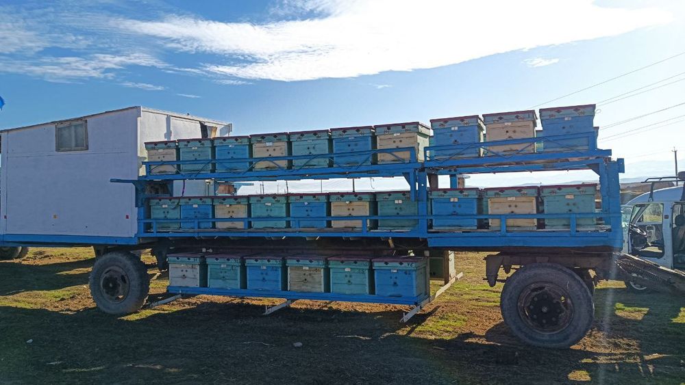 Пичеловод  прицеп