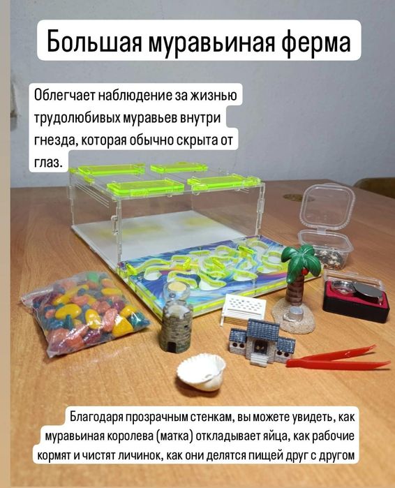 Формикарий для муравьиной фермы