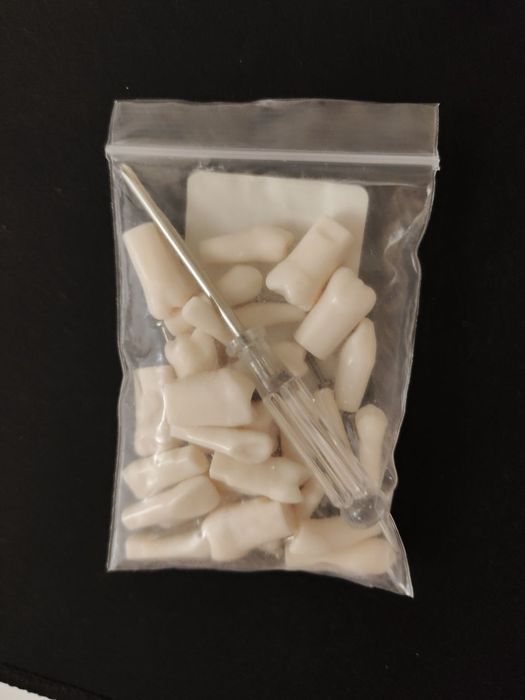 Model dentar 28 dinți Nissin - Arcade dentare