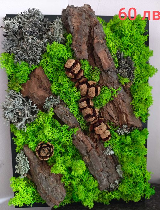 Декорации за подаръци