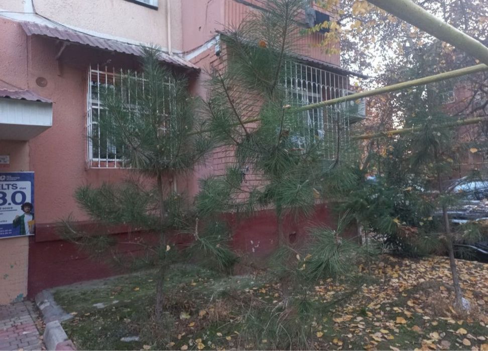 Чилонзар 19 2/1/4 65000&