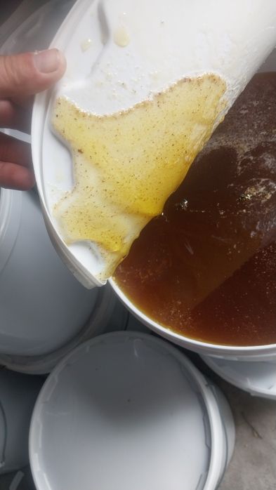 Продам мёд оптом и в розницу