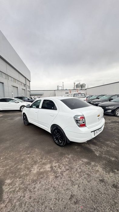 Cobalt midnight mcm fulli