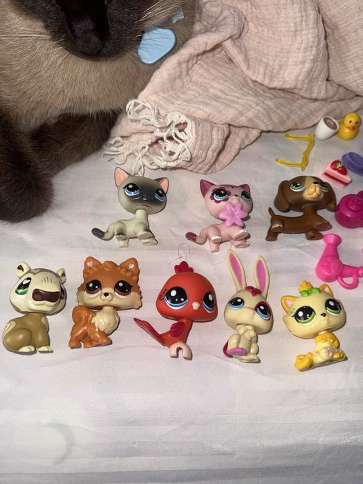 lps новая коллекция