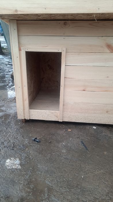 Будка для собак.