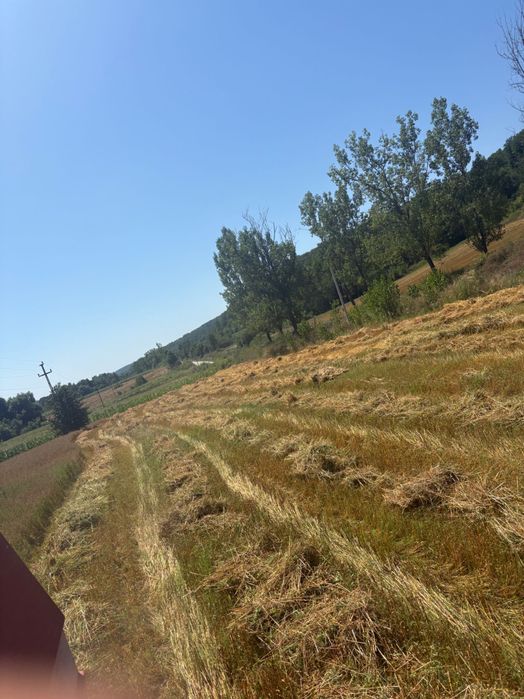 Fac baloți paie ovăz la comandă