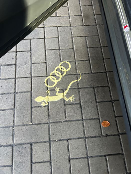 ОригиналноОсветление за врати за Ауди  А4;Чисто нови