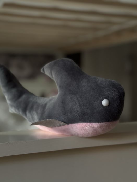 Новая мягкая акула