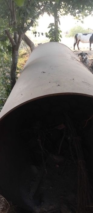 Sotiladi  uzunligi 3 metr diametri 120 metr