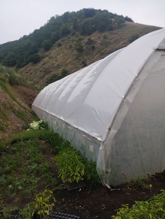 Solarii ieftine de calitate Ungaria